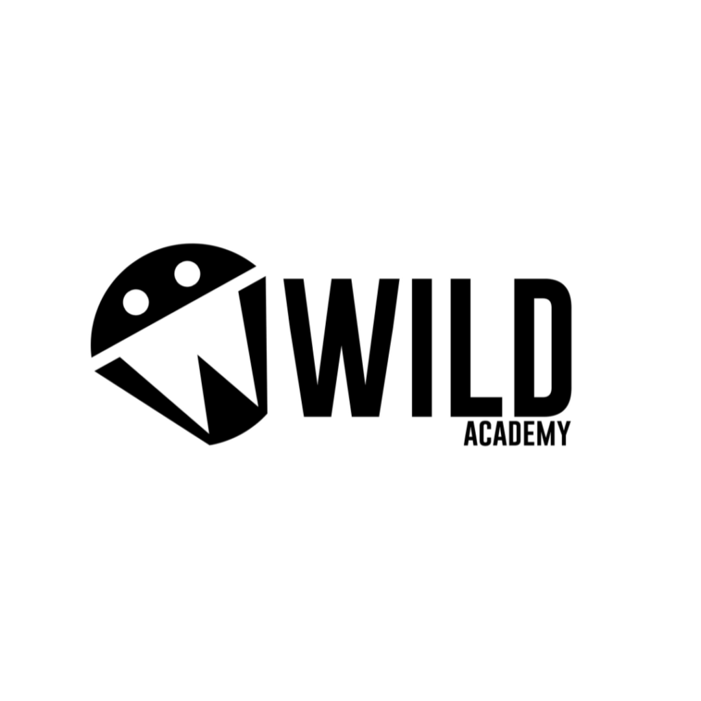 Wild Dance Academy